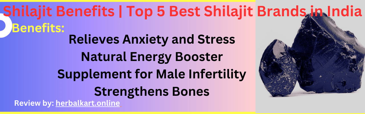 Shilajit Benefits | Top 5 Best Shilajit Brands in India